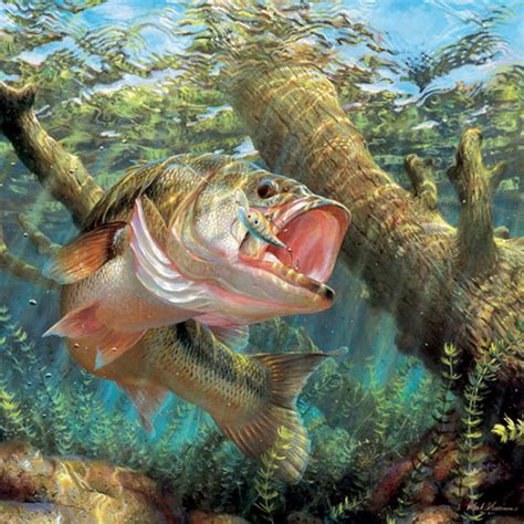 Bass Fishing Wallpapers .